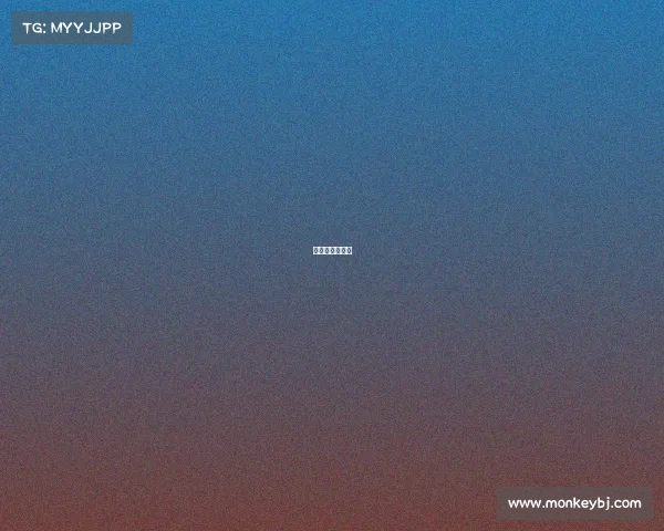 李宗伟赛事总结